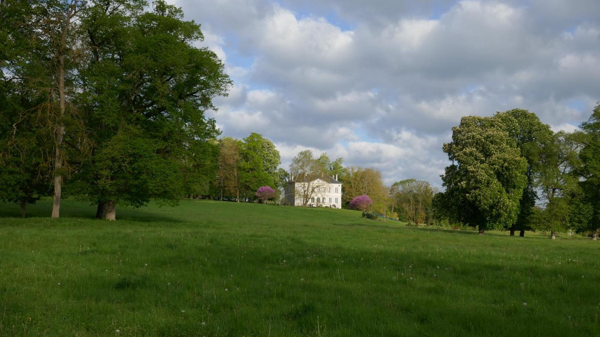 B&B Chateau De Preuil Vallenay Eksteriør bilde